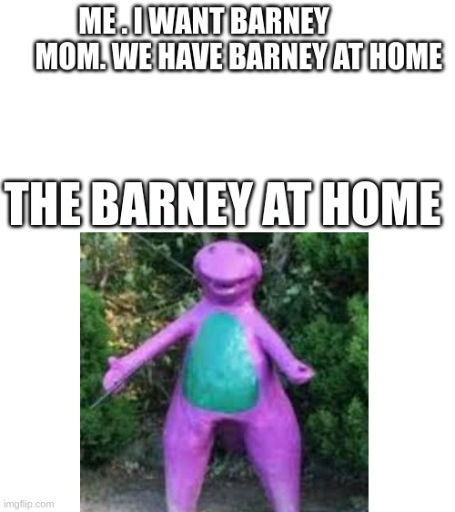 The Barney at home... | ME . I WANT BARNEY             MOM. WE HAVE BARNEY AT HOME; THE BARNEY AT HOME | image tagged in barney,at home | made w/ Imgflip meme maker