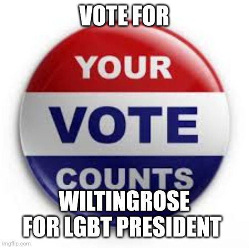 Vote | VOTE FOR; WILTINGROSE FOR LGBT PRESIDENT | image tagged in vote | made w/ Imgflip meme maker