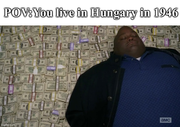 Hungary after WW2 be like; | POV:You live in Hungary in 1946 | image tagged in guy sleeping on pile of money | made w/ Imgflip meme maker