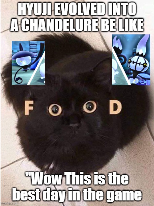 Racculture | HYUJI EVOLVED INTO A CHANDELURE BE LIKE; "Wow This is the best day in the game | image tagged in cute cat | made w/ Imgflip meme maker