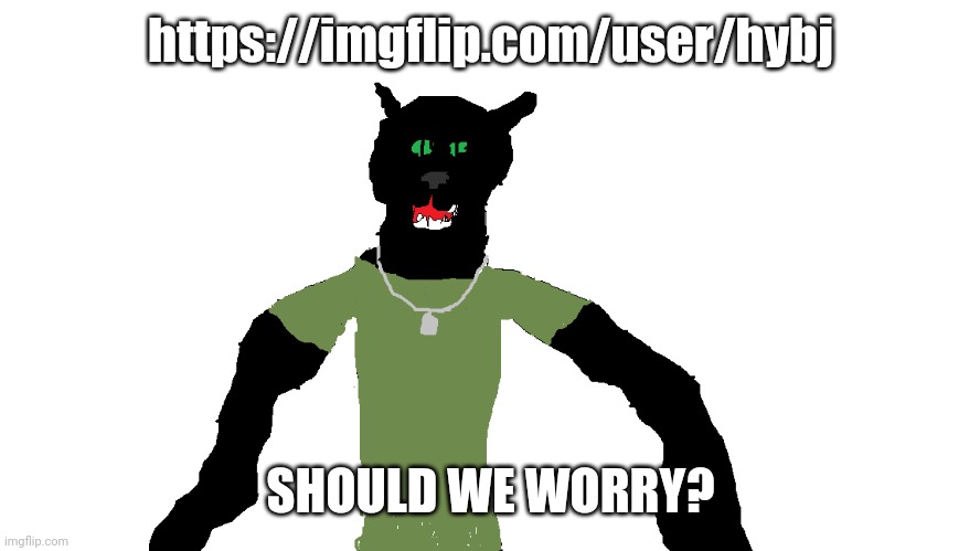 My panther fursona | https://imgflip.com/user/hybj; SHOULD WE WORRY? | image tagged in my panther fursona | made w/ Imgflip meme maker