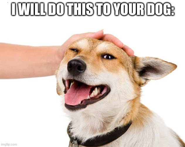 Petting a Dog | I WILL DO THIS TO YOUR DOG: | image tagged in petting a dog | made w/ Imgflip meme maker