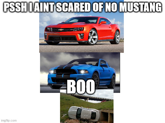 Blank White Template | PSSH I AINT SCARED OF NO MUSTANG; BOO | image tagged in blank white template | made w/ Imgflip meme maker