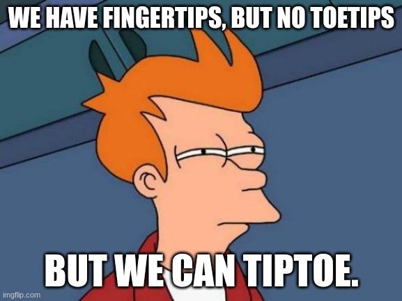 Futurama Fry Meme | WE HAVE FINGERTIPS, BUT NO TOETIPS; BUT WE CAN TIPTOE. | image tagged in memes,futurama fry | made w/ Imgflip meme maker