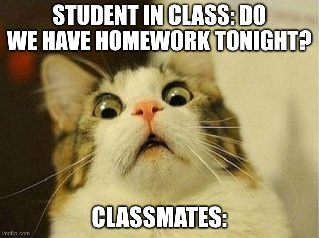 Homework | STUDENT IN CLASS: DO WE HAVE HOMEWORK TONIGHT? CLASSMATES: | image tagged in memes,scared cat | made w/ Imgflip meme maker