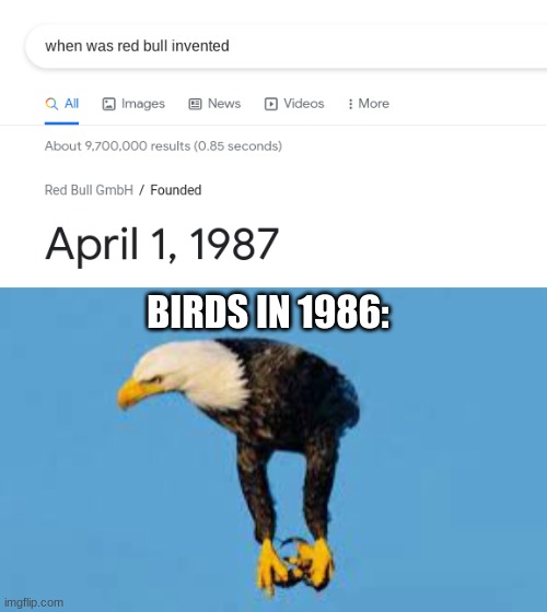 red bull gives you wings | BIRDS IN 1986: | image tagged in redbull | made w/ Imgflip meme maker
