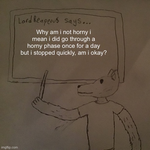 LordReaperus says | Why am i not horny i mean i did go through a horny phase once for a day but i stopped quickly, am i okay? | image tagged in lordreaperus says | made w/ Imgflip meme maker