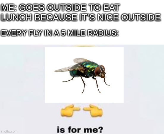 So true | ME: GOES OUTSIDE TO EAT LUNCH BECAUSE IT'S NICE OUTSIDE; EVERY FLY IN A 5 MILE RADIUS: | image tagged in is for me | made w/ Imgflip meme maker