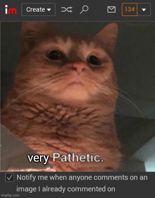another monent | very | image tagged in pathetic cat,imgflip | made w/ Imgflip meme maker