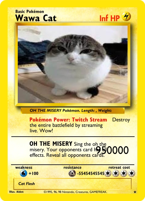 High Quality Wawa Cat POKEMON Blank Meme Template