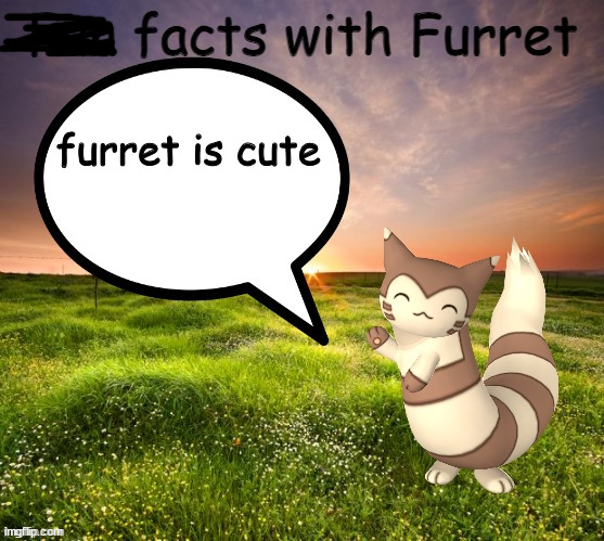 Fun facts with Furret | furret is cute | image tagged in fun facts with furret | made w/ Imgflip meme maker