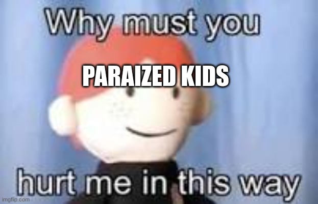 Why must you hurt me in this way | PARAIZED KIDS | image tagged in why must you hurt me in this way | made w/ Imgflip meme maker