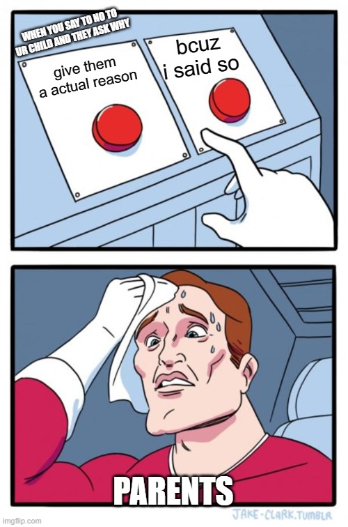 Two Buttons | WHEN YOU SAY TO NO TO UR CHILD AND THEY ASK WHY; bcuz i said so; give them a actual reason; PARENTS | image tagged in memes,two buttons | made w/ Imgflip meme maker