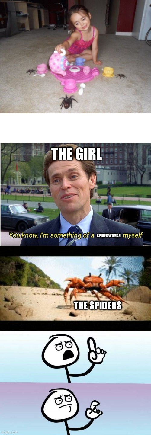 This very well could be the next spider woman if all goes wrong | THE GIRL; SPIDER WOMAN; THE SPIDERS | image tagged in you know i'm something of a _ myself,crab rave gif,speechless stickman | made w/ Imgflip meme maker
