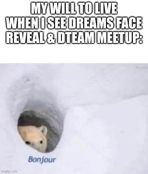 i no longer want to kms :D /hj | MY WILL TO LIVE WHEN I SEE DREAMS FACE REVEAL & DTEAM MEETUP: | image tagged in bonjour,dsmp,face reveal | made w/ Imgflip meme maker