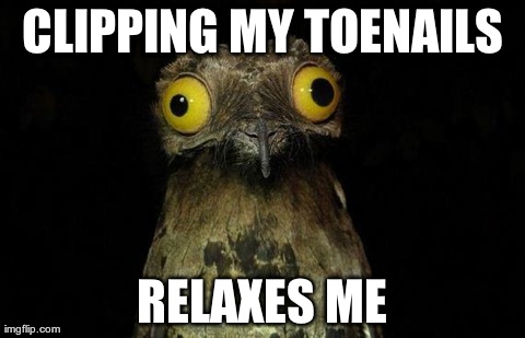 Weird Stuff I Do Potoo Meme | CLIPPING MY TOENAILS RELAXES ME | image tagged in memes,weird stuff i do potoo | made w/ Imgflip meme maker