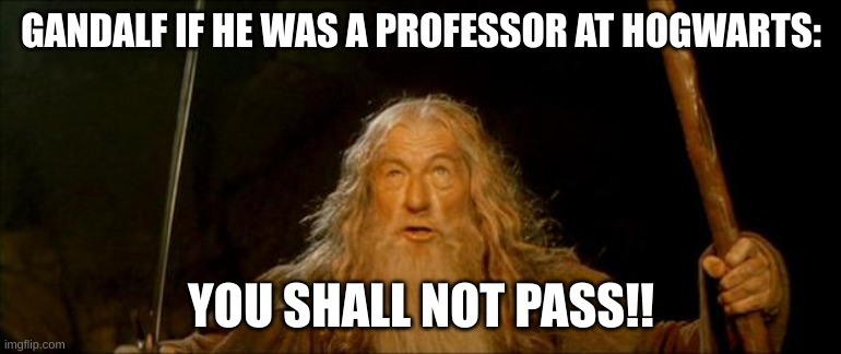gandalf you shall not pass | GANDALF IF HE WAS A PROFESSOR AT HOGWARTS:; YOU SHALL NOT PASS!! | image tagged in gandalf you shall not pass | made w/ Imgflip meme maker