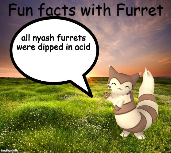 not very fun but a fact | all nyash furrets were dipped in acid | image tagged in fun facts with furret | made w/ Imgflip meme maker