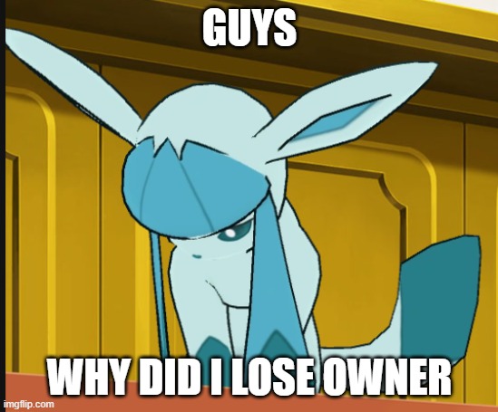 sad glaceon | GUYS; WHY DID I LOSE OWNER | image tagged in sad glaceon | made w/ Imgflip meme maker