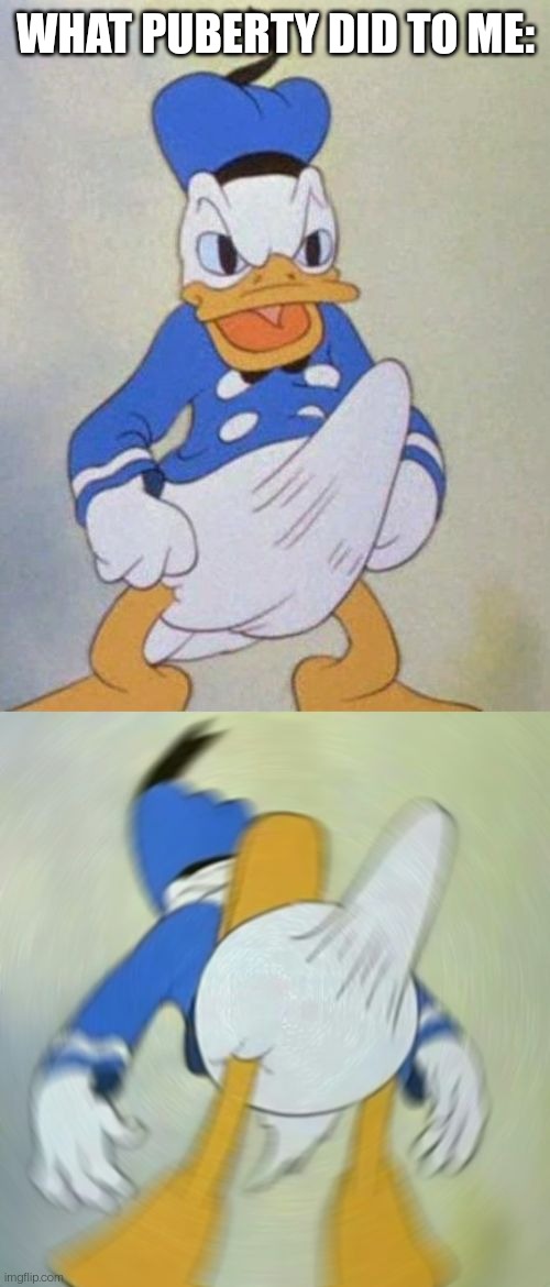 donald duck boner | WHAT PUBERTY DID TO ME: | image tagged in donald duck boner | made w/ Imgflip meme maker