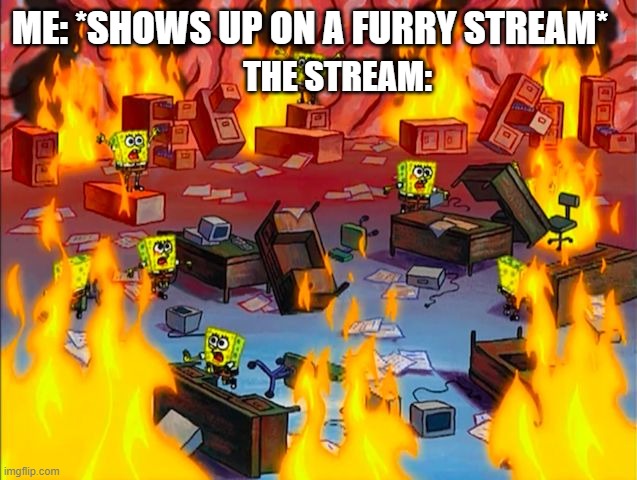 OH NO! | ME: *SHOWS UP ON A FURRY STREAM*; THE STREAM: | image tagged in spongebob brain chaos | made w/ Imgflip meme maker