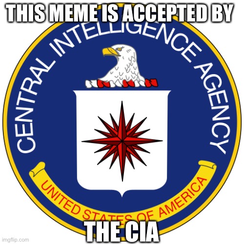 The CIA approves | THIS MEME IS ACCEPTED BY; THE CIA | image tagged in approval,memes,government | made w/ Imgflip meme maker