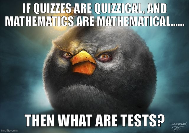 *vine boom* | IF QUIZZES ARE QUIZZICAL, AND MATHEMATICS ARE MATHEMATICAL...... THEN WHAT ARE TESTS? | image tagged in angry birds bomb | made w/ Imgflip meme maker