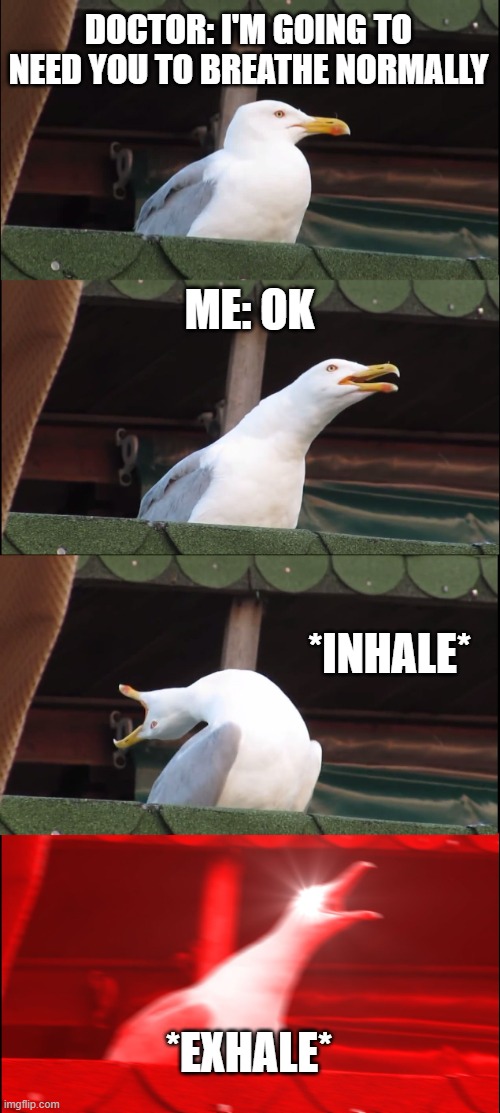 Me at the doctor's. | DOCTOR: I'M GOING TO NEED YOU TO BREATHE NORMALLY; ME: OK; *INHALE*; *EXHALE* | image tagged in memes,inhaling seagull | made w/ Imgflip meme maker