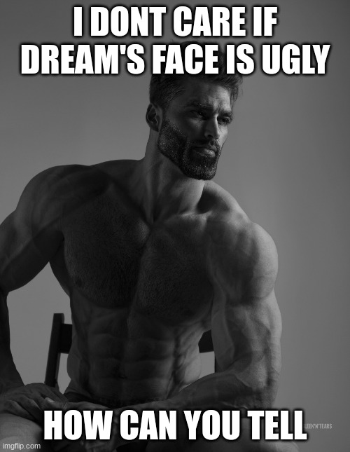 Giga Chad | I DONT CARE IF DREAM'S FACE IS UGLY; HOW CAN YOU TELL | image tagged in giga chad | made w/ Imgflip meme maker