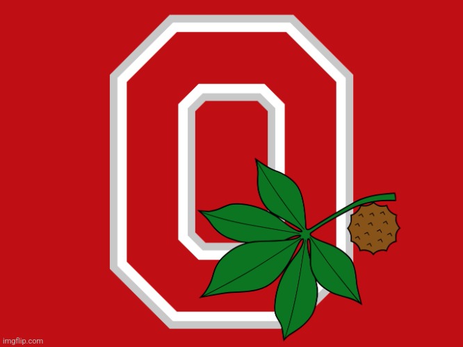 Ohio State flag | image tagged in ohio state flag | made w/ Imgflip meme maker