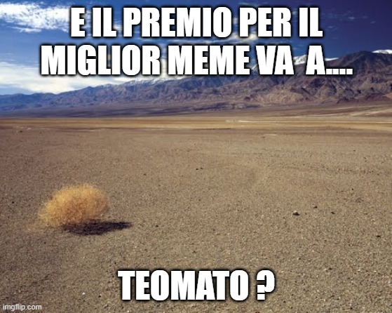 desert tumbleweed | E IL PREMIO PER IL MIGLIOR MEME VA  A.... TEOMATO ? | image tagged in desert tumbleweed | made w/ Imgflip meme maker