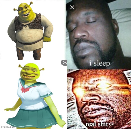 Sleeping Shaq | image tagged in memes,sleeping shaq | made w/ Imgflip meme maker