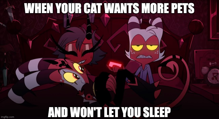 Cat Problems | WHEN YOUR CAT WANTS MORE PETS; AND WON'T LET YOU SLEEP | image tagged in meme,helluva boss,moxxie,blitz,cat,won't let you sleep | made w/ Imgflip meme maker