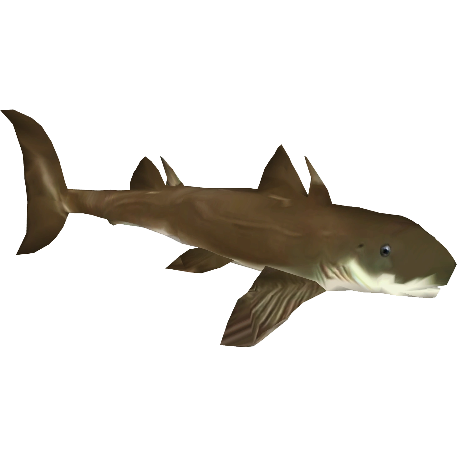 Cladoselache Blank Meme Template