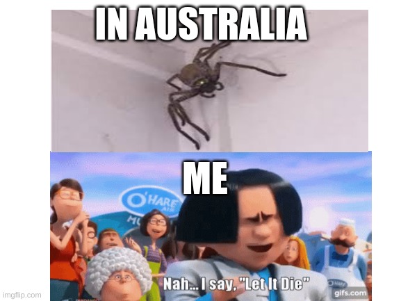 Spiders | IN AUSTRALIA; ME | image tagged in australia,let it die let it die | made w/ Imgflip meme maker