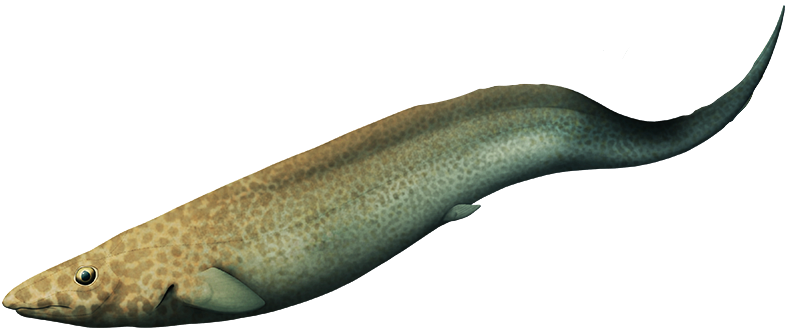 Harpagofututor (Female) Blank Meme Template