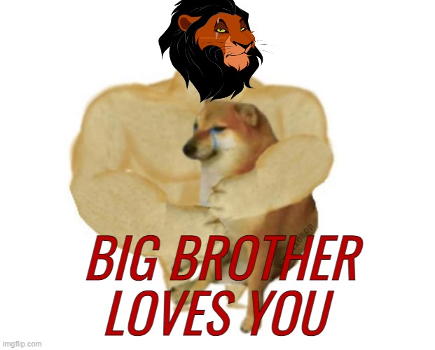 He's here for you UwU (KSDawg: I love him so much but he no love me :( ) | BIG BROTHER LOVES YOU | image tagged in rmk,captain scar,big brother,big brother loves you | made w/ Imgflip meme maker