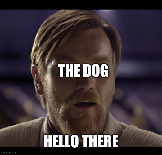 Hello there | THE DOG HELLO THERE | image tagged in hello there | made w/ Imgflip meme maker