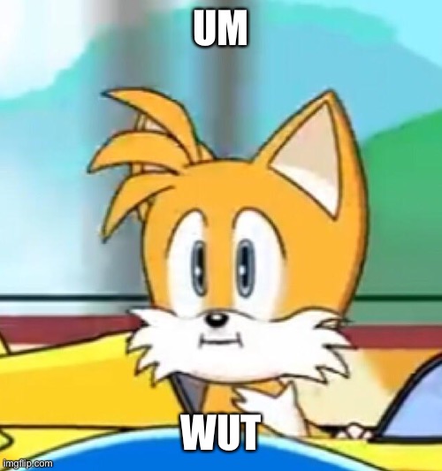 Tails hold up | UM WUT | image tagged in tails hold up | made w/ Imgflip meme maker