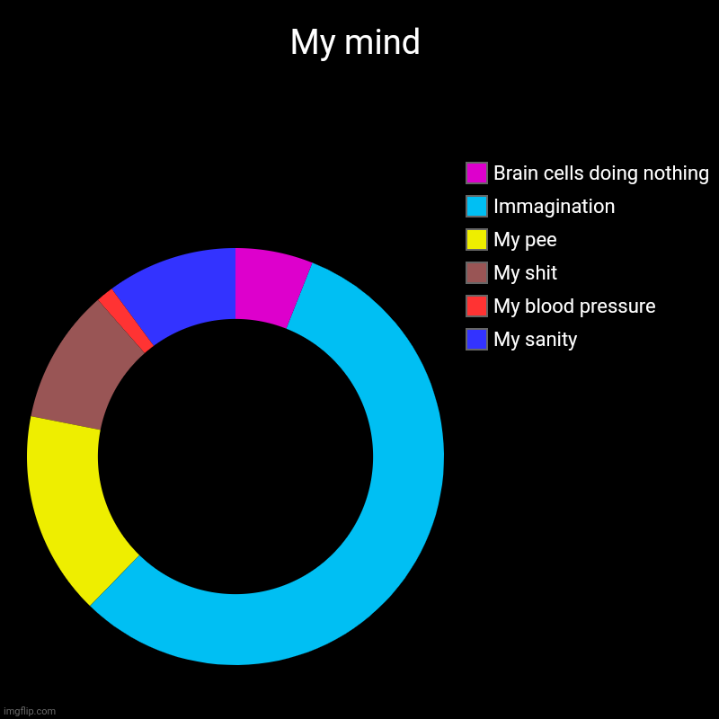 My mind | My sanity, My blood pressure , My shit, My pee , Immagination, Brain cells doing nothing | image tagged in charts,donut charts | made w/ Imgflip chart maker