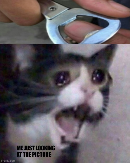 Screaming Cat meme | ME JUST LOOKING AT THE PICTURE | image tagged in screaming cat meme | made w/ Imgflip meme maker