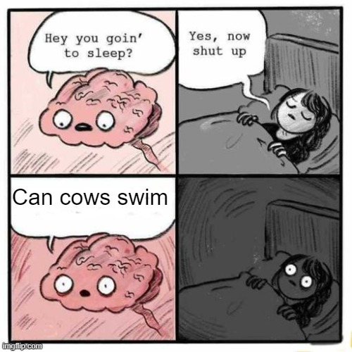 they can but this hurt my brain for a bit | Can cows swim | image tagged in hey you going to sleep,cow | made w/ Imgflip meme maker