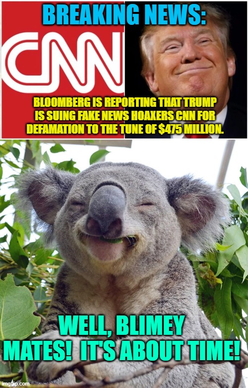 Yep it's time and past time for Trump to OWN them. | BREAKING NEWS:; BLOOMBERG IS REPORTING THAT TRUMP IS SUING FAKE NEWS HOAXERS CNN FOR DEFAMATION TO THE TUNE OF $475 MILLION. WELL, BLIMEY MATES!  IT'S ABOUT TIME! | image tagged in not chump change | made w/ Imgflip meme maker