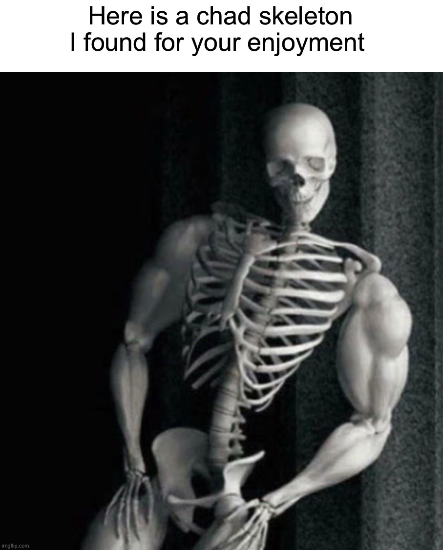 Enjoy | Here is a chad skeleton I found for your enjoyment | image tagged in memes,funny,halloween,skeleton,chad,buff | made w/ Imgflip meme maker