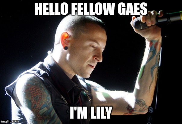 Chester Bennington rip | HELLO FELLOW GAES; I'M LILY | image tagged in chester bennington rip | made w/ Imgflip meme maker