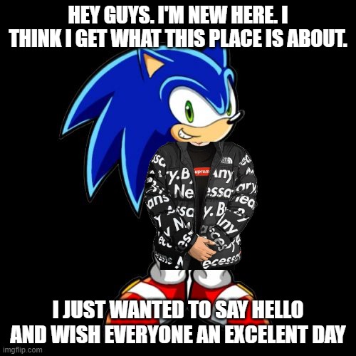 Hey guys | HEY GUYS. I'M NEW HERE. I THINK I GET WHAT THIS PLACE IS ABOUT. I JUST WANTED TO SAY HELLO AND WISH EVERYONE AN EXCELENT DAY | image tagged in memes,you're too slow sonic | made w/ Imgflip meme maker