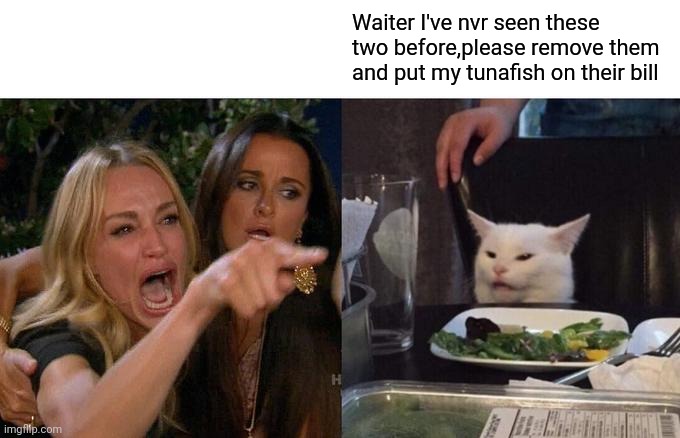 Woman Yelling At Cat Meme | Waiter I've nvr seen these two before,please remove them and put my tunafish on their bill | image tagged in memes,woman yelling at cat | made w/ Imgflip meme maker