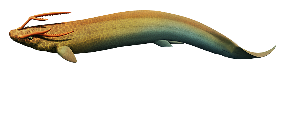 Harpagofututor (Male) Blank Meme Template