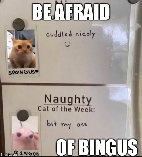 Bossfight | BE AFRAID; OF BINGUS | image tagged in boss | made w/ Imgflip meme maker