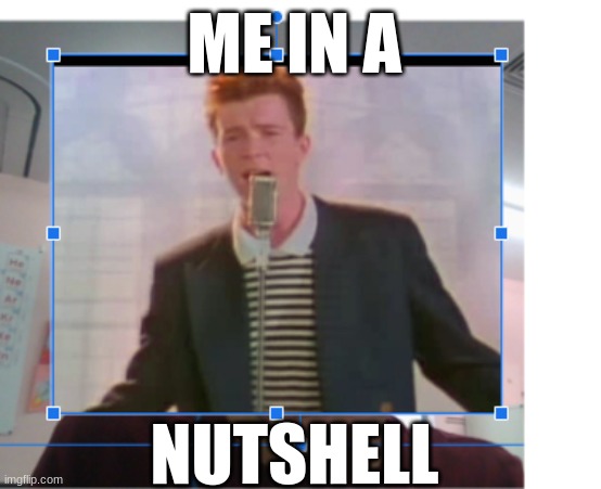 me when there is no homework | ME IN A; NUTSHELL | image tagged in rickroll | made w/ Imgflip meme maker